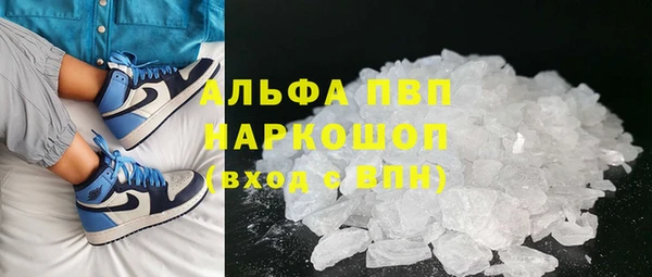 сатива Куйбышев