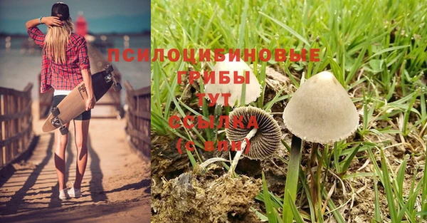 марки nbome Кукмор
