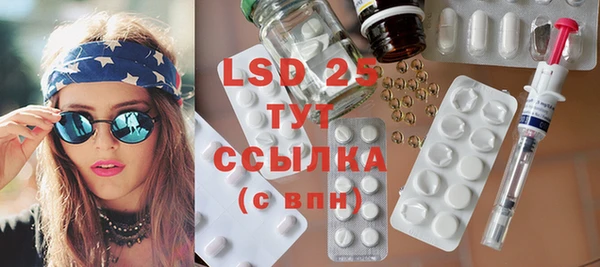 сатива Куйбышев