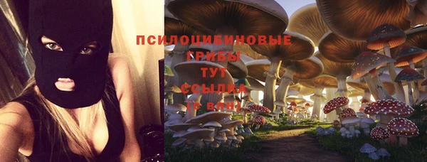 марки nbome Кукмор